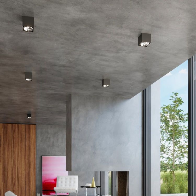 Blake | Ceiling lamp | Black